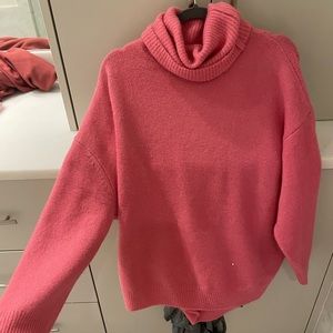 Top shot turtle neck